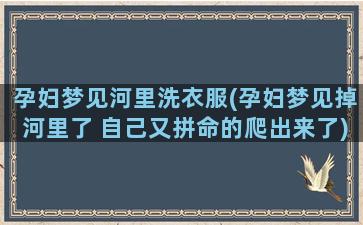 孕妇梦见河里洗衣服(孕妇梦见掉河里了 自己又拼命的爬出来了)